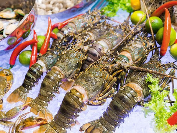 Cách Chọn Hải Sản Tươi Sống Chất Lượng Cao