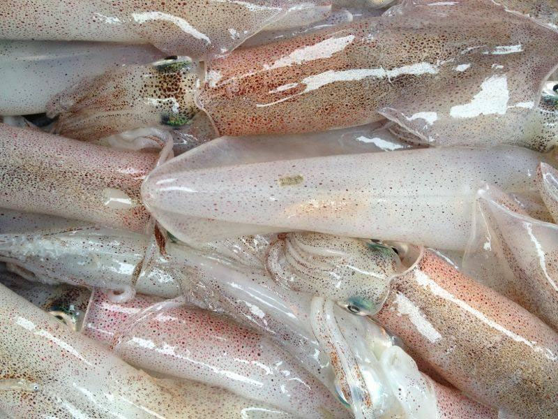 Tiêu Chuẩn Chất Lượng Mực Chế Biến Sẵn Dành Cho Khách Sạn Cao Cấp
