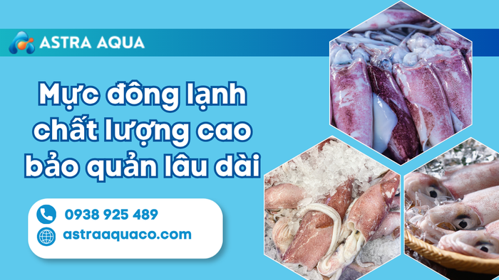 Mực Đông Lạnh Chất Lượng Cao – Giải Pháp Bảo Quản Lâu Dài Và Tiện Lợi Cho Bếp Ăn Hiện Đại