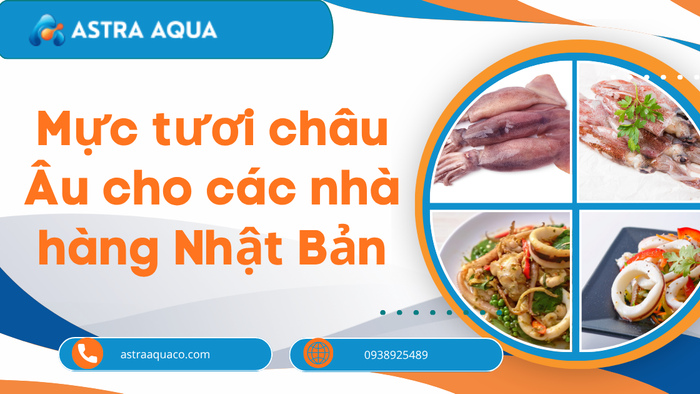 Mực Tươi Châu Âu – Lựa Chọn Hoàn Hảo Cho Các Nhà Hàng Nhật Bản
