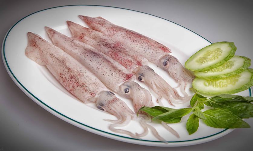 Đặc Điểm Nổi Bật Của Mực Tươi Châu Âu