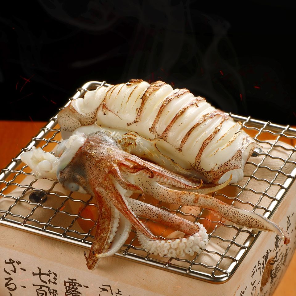 Lợi Ích Dinh Dưỡng Và Sức Khỏe Từ Mực Tươi