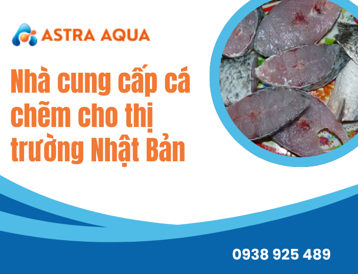 Nhà cung cấp cá chẽm cho thị trường Nhật Bản