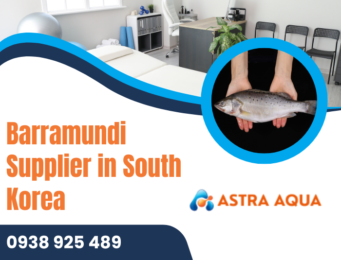 Barramundi supplier in South Korea