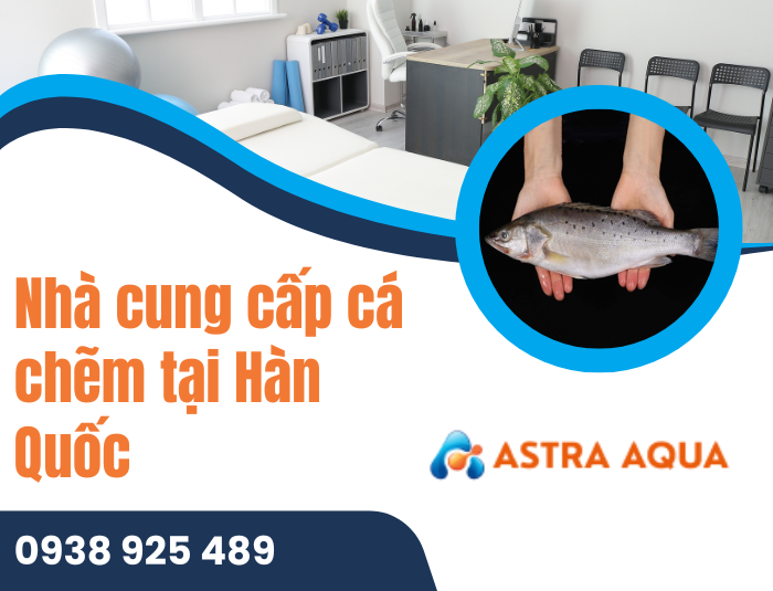 Nhà cung cấp cá chẽm tại Hàn Quốc
