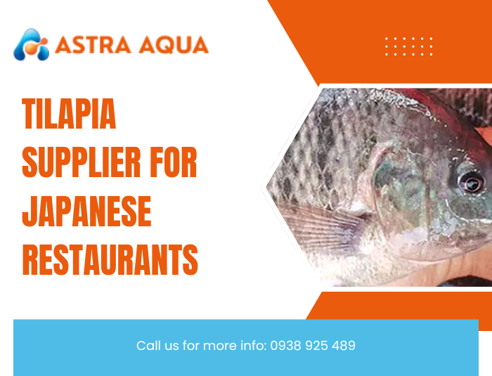 Tilapia Supplier for Japanese Restaurants