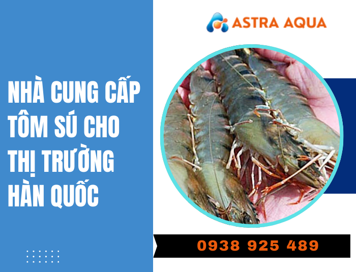 Nhà cung cấp tôm sú cho thị trường Hàn Quốc