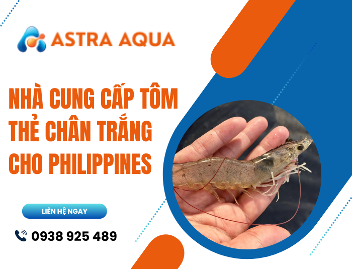 Nhà cung cấp tôm thẻ chân trắng cho Philippines