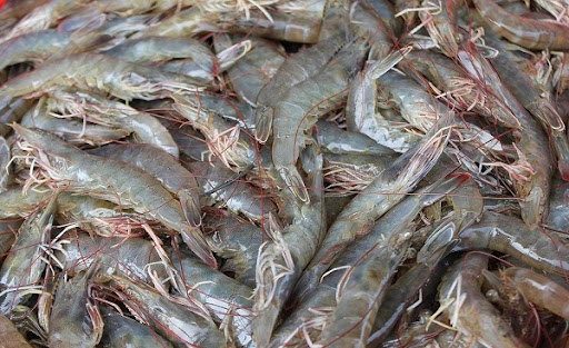 Nhà cung cấp tôm thẻ chân trắng cho thị trường Nhật Bản