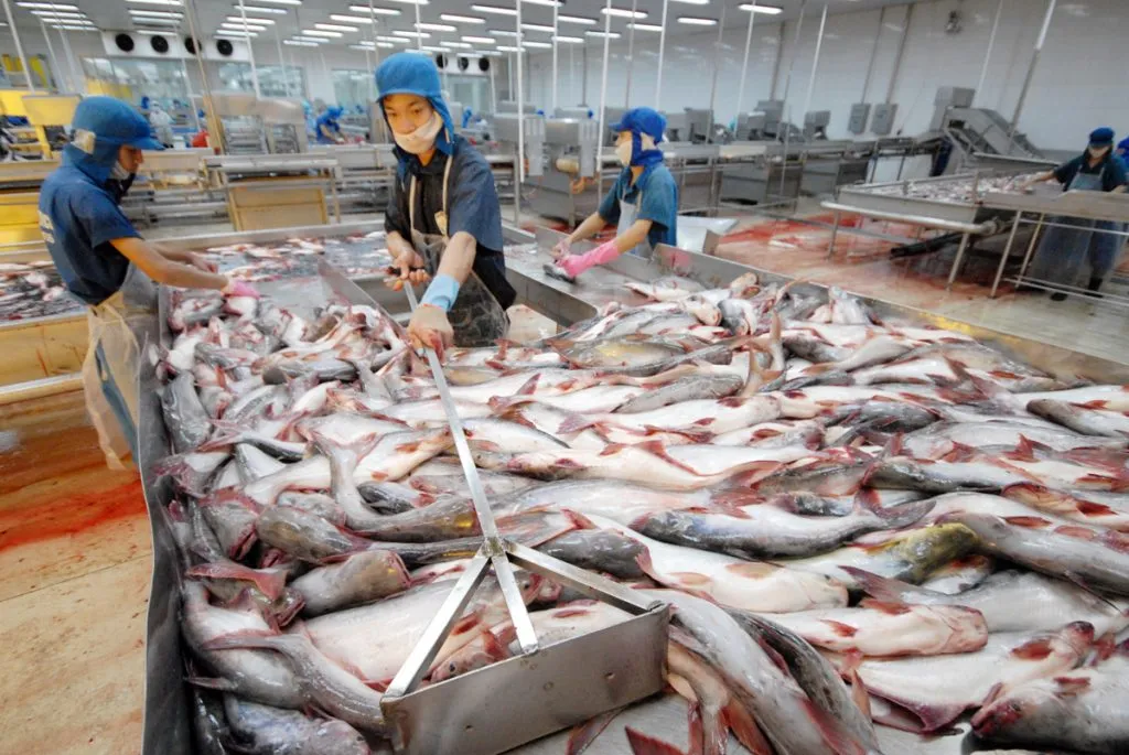 Những Yếu Tố Cần Kiểm Tra Trong InSpection