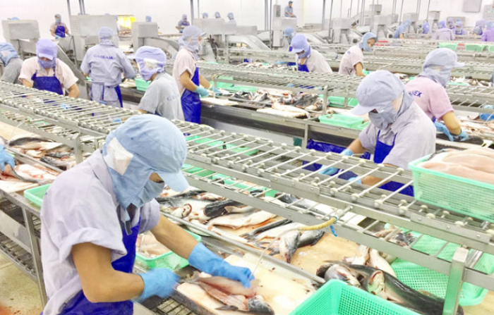 Những Yếu Tố Cần Lưu Ý Khi Thực Hiện Sourcing Trong Ngành Xuất Khẩu HẢI SẢN