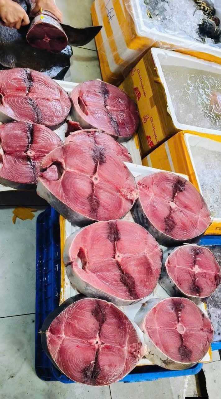 Ocean Tuna Export Pricing by Segment