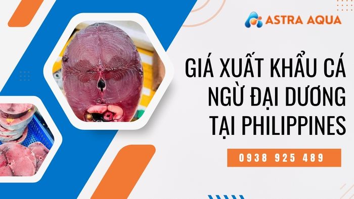 Bảng giá xuất khẩu cá ngừ đại dương tại Philippines