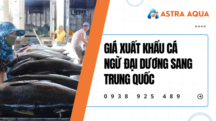 Bảng giá xuất khẩu cá ngừ đại dương sang Trung Quốc