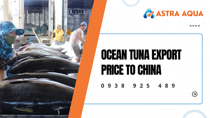 Ocean Tuna Export Price List to China