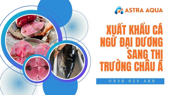 Tiềm năng xuất khẩu cá ngừ đại dương sang châu Á từ Astra Aqua