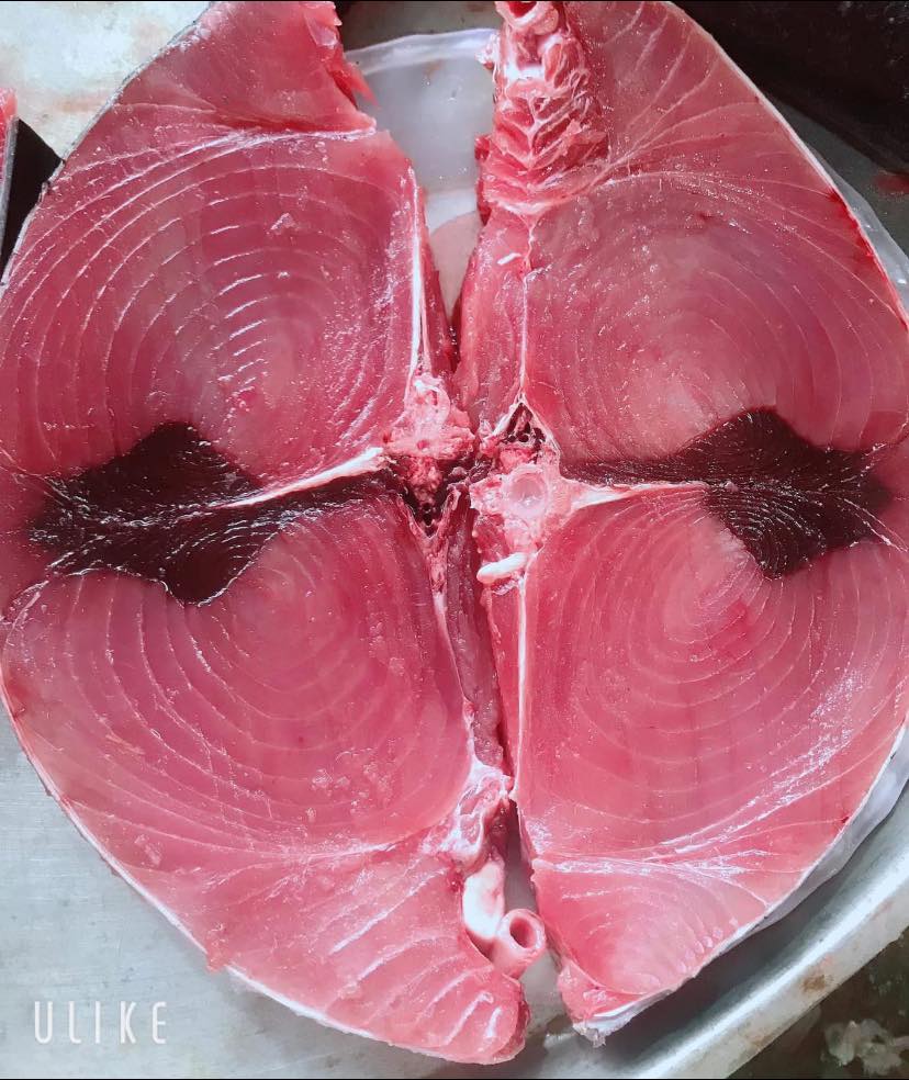 Công nghệ bảo quản cá ngừ đại dương siêu lạnh xuất khẩu châu Á