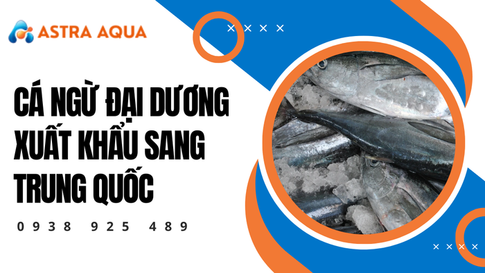 Cá ngừ đại dương xuất khẩu sang Trung Quốc