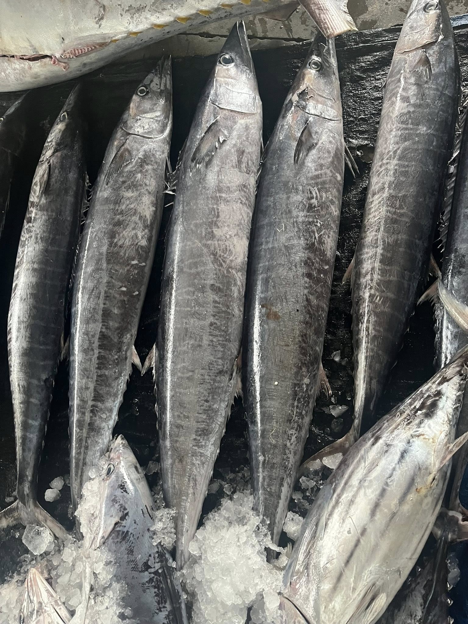 Nhà máy chế biến cá ngừ đại dương xuất khẩu sang Philippines