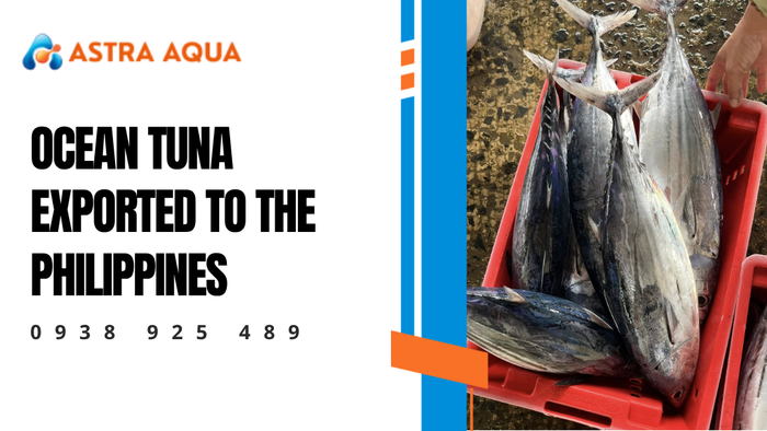 Ocean tuna exported to the Philippines
