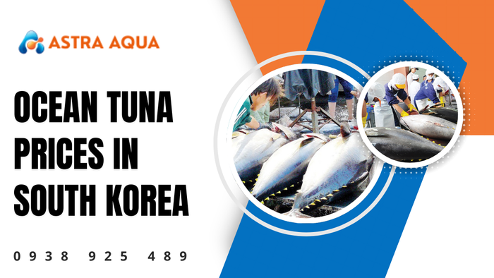 Ocean Tuna Prices in South Korea