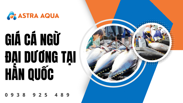 Giá cá ngừ đại dương tại Hàn Quốc