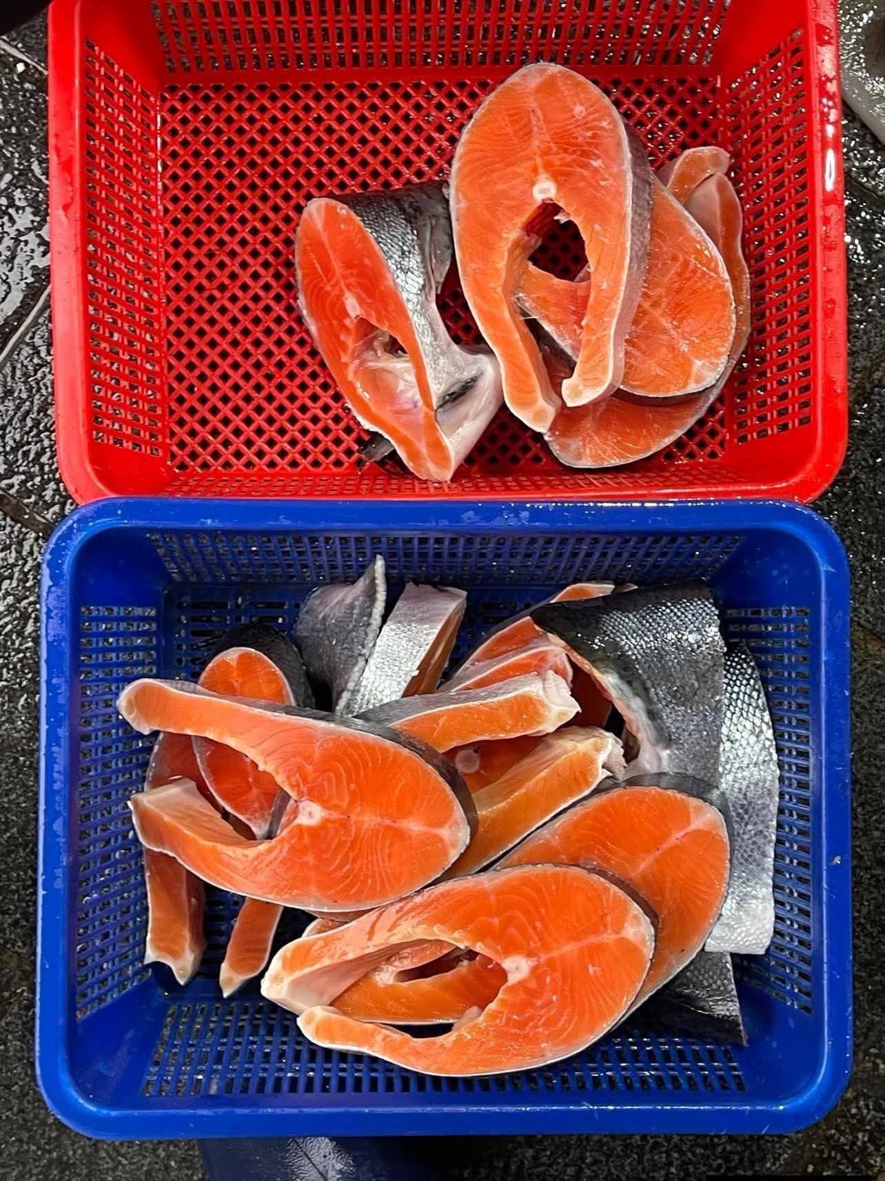 Hệ thống chuỗi cung ứng lạnh bảo quản cá hồi sashimi xuất khẩu