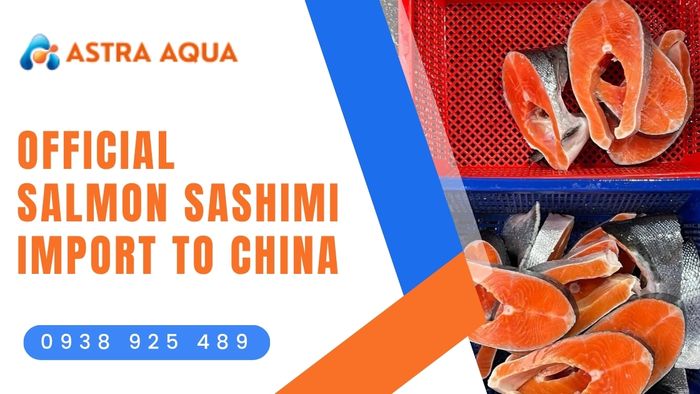 Potential for official salmon sashimi import to China with Astra Aqua