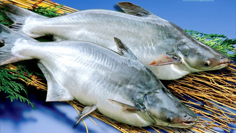 Freezing technology affects pangasius fillet export prices