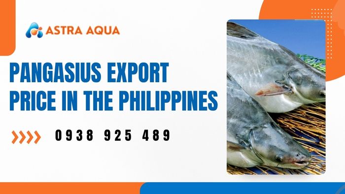 Wholesale frozen pangasius export price list in the Philippines