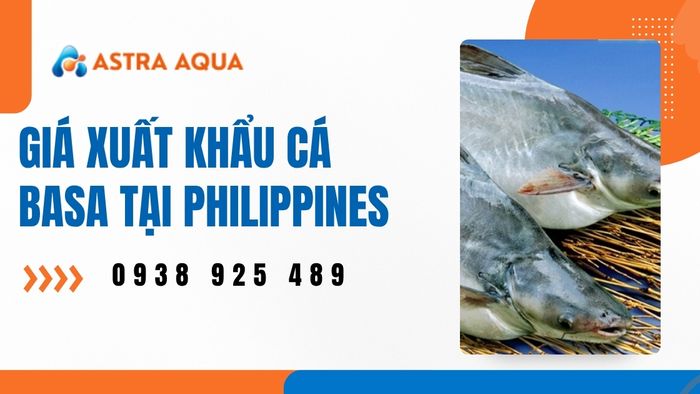 Bảng giá xuất khẩu cá basa đông lạnh giá sỉ tại Philippines