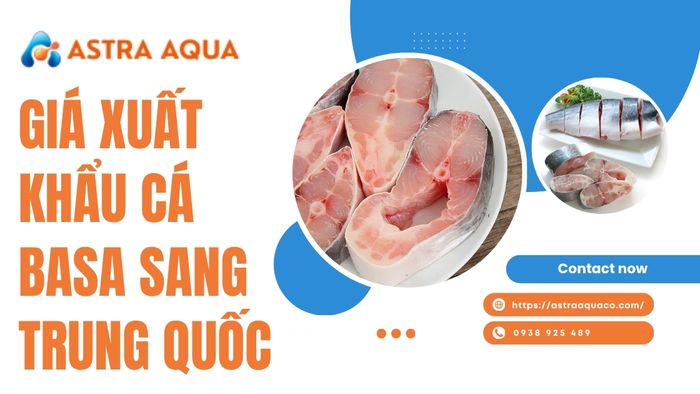 Báo giá xuất khẩu cá basa sang Trung Quốc từ Astra Aqua