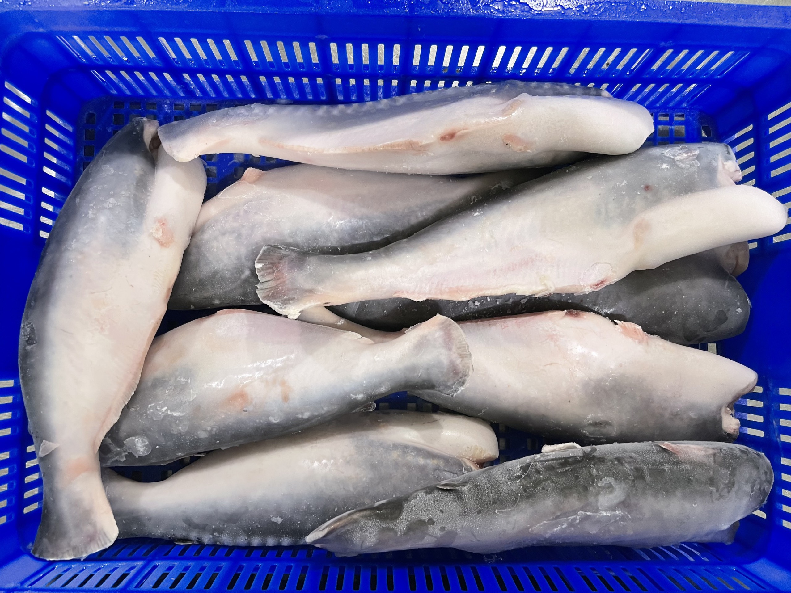 Dịch vụ trọn gói giúp tối ưu giá xuất khẩu cá basa sang Hàn Quốc