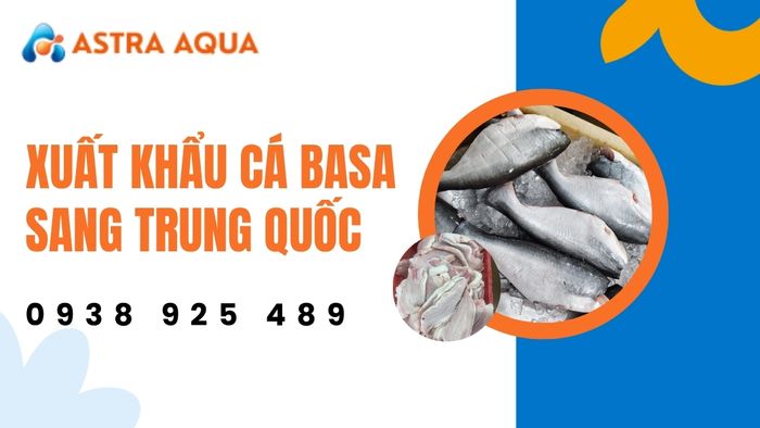 Tiềm năng xuất khẩu cá basa sang Trung Quốc từ Astra Aqua