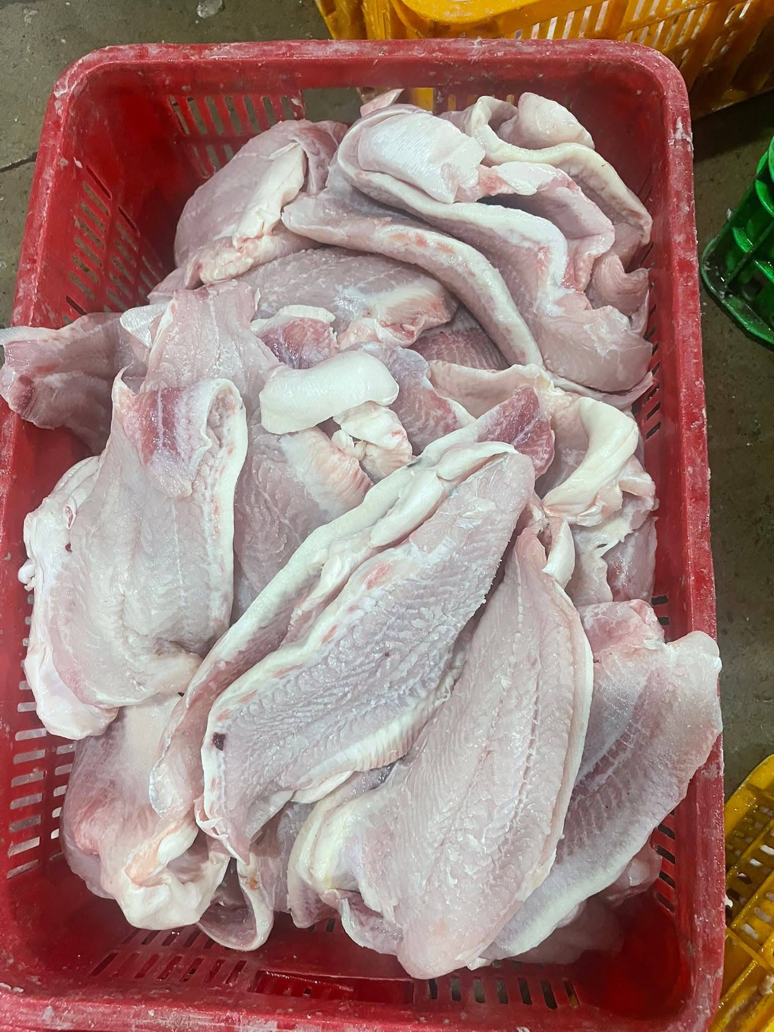 Công nghệ cấp đông tối ưu cá basa xuất khẩu sang Trung Quốc