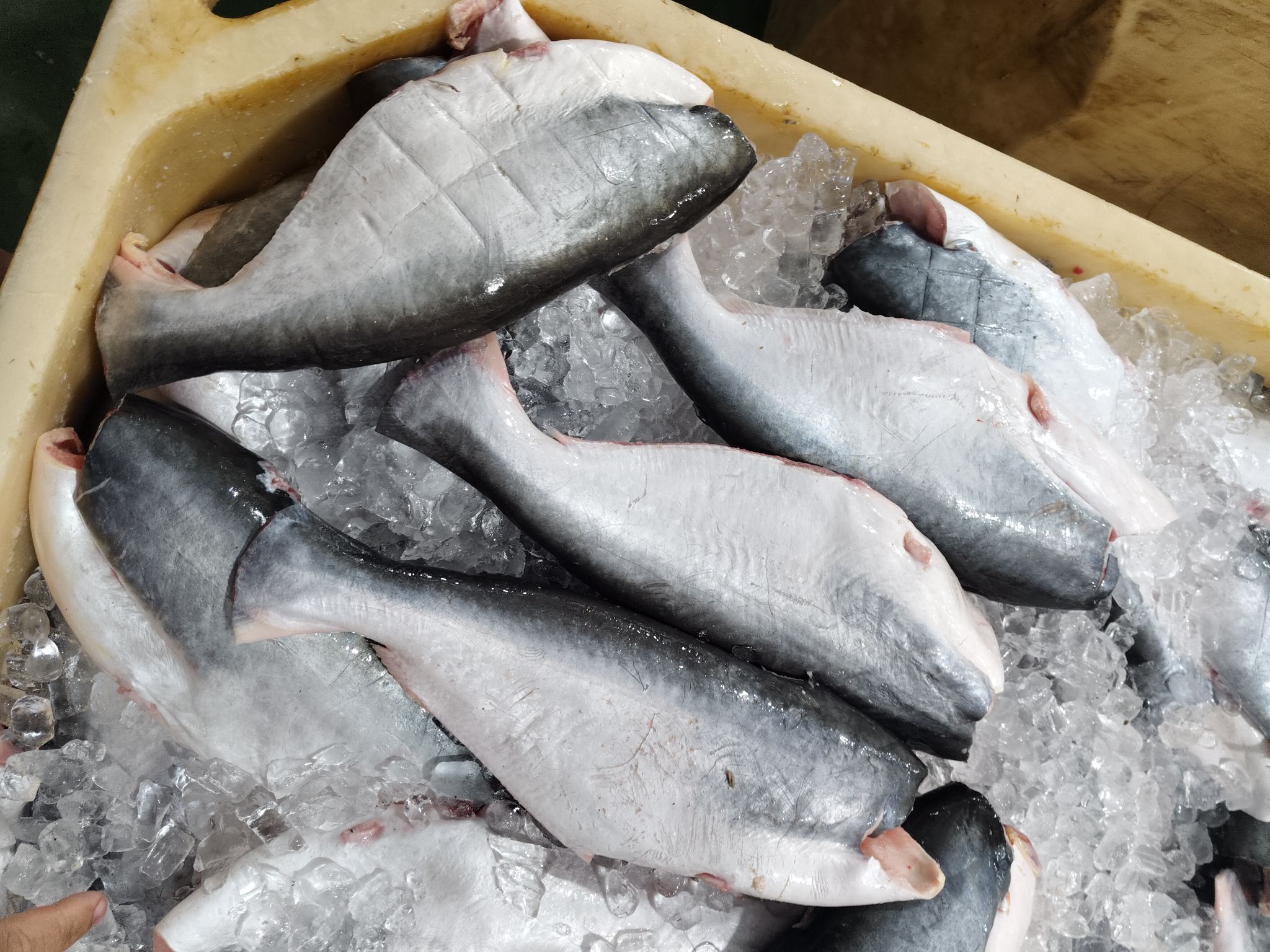 Các dòng sản phẩm cá basa xuất sang Trung Quốc bán chạy