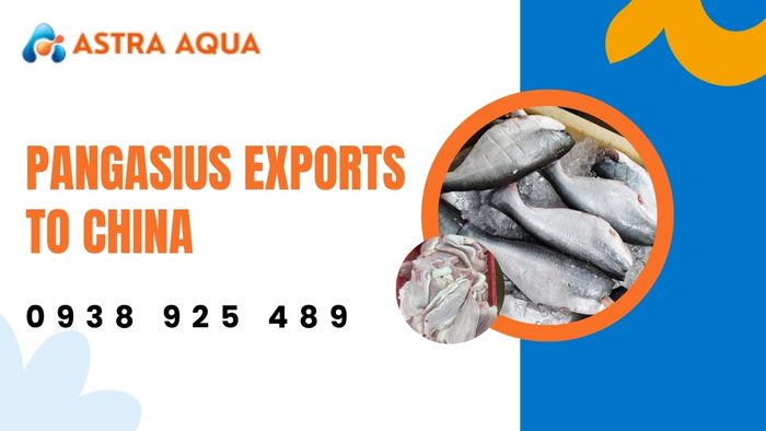 Pangasius export potential to China from Astra Aqua
