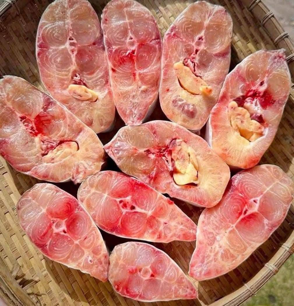 Astra Aqua nhà xuất khẩu cá basa đạt chuẩn xuất khẩu uy tín