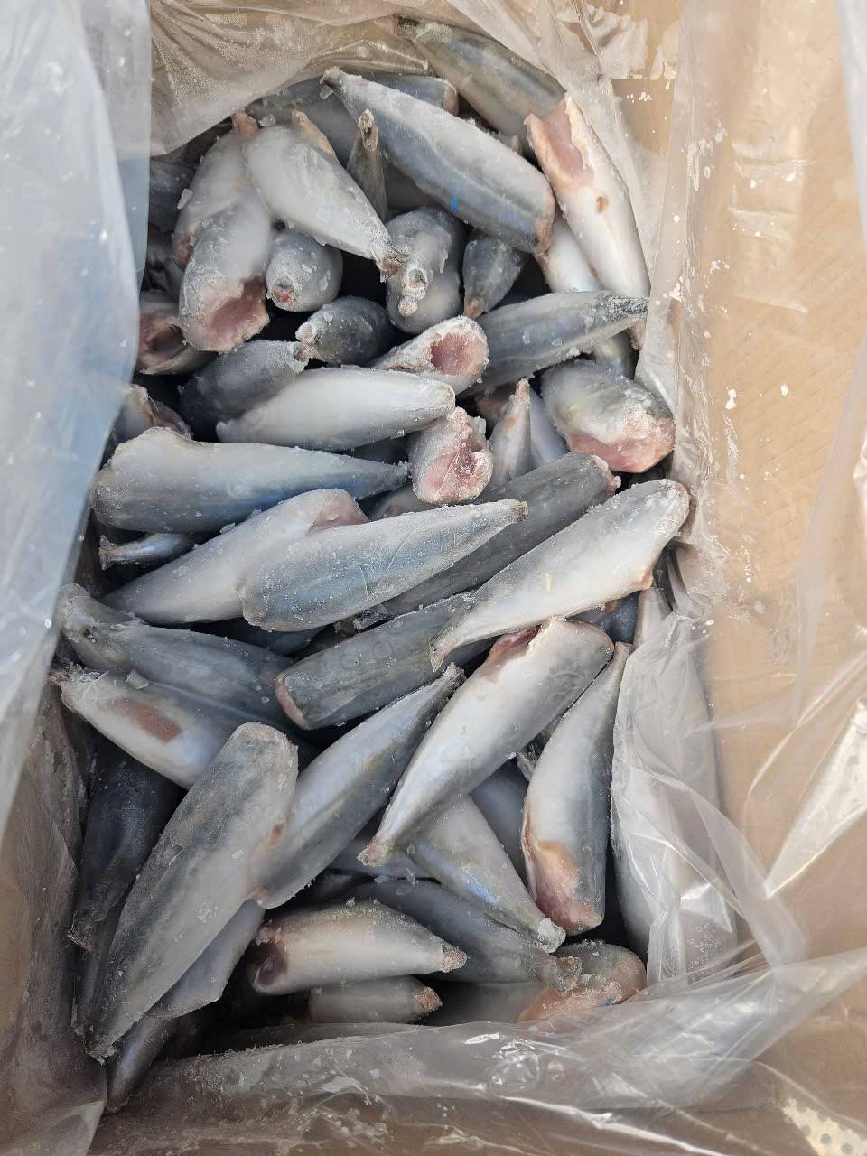 Dịch vụ logistics xuất khẩu cá basa nguyên liệu sạch trọn gói