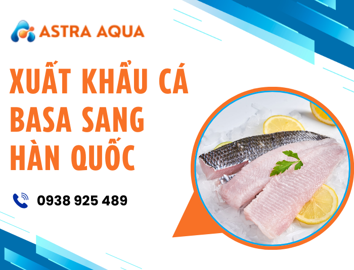 Xuất Khẩu Cá Basa Sang Hàn Quốc