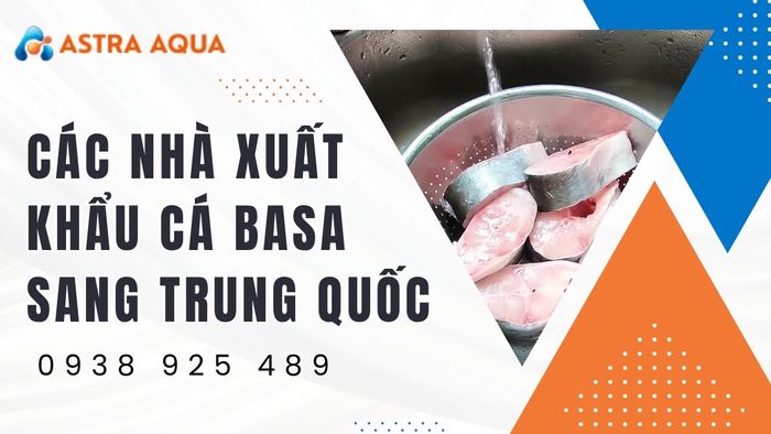 Các nhà xuất khẩu cá basa sang Trung Quốc uy tín như Astra Aqua