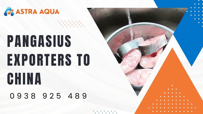 Reputable Pangasius Exporters to China like Astra Aqua