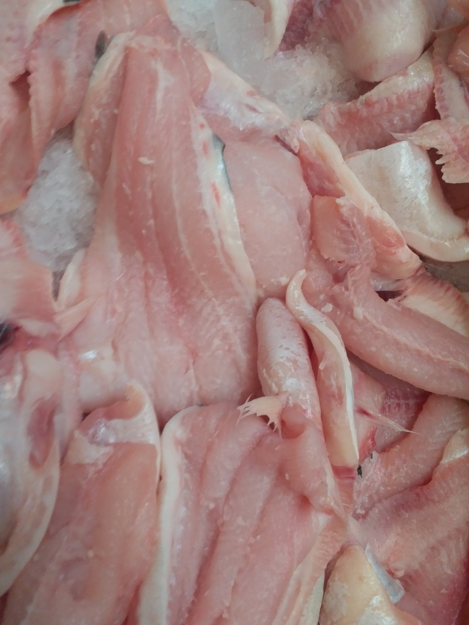 Nhà cung cấp cá basa cho Nhật Bản