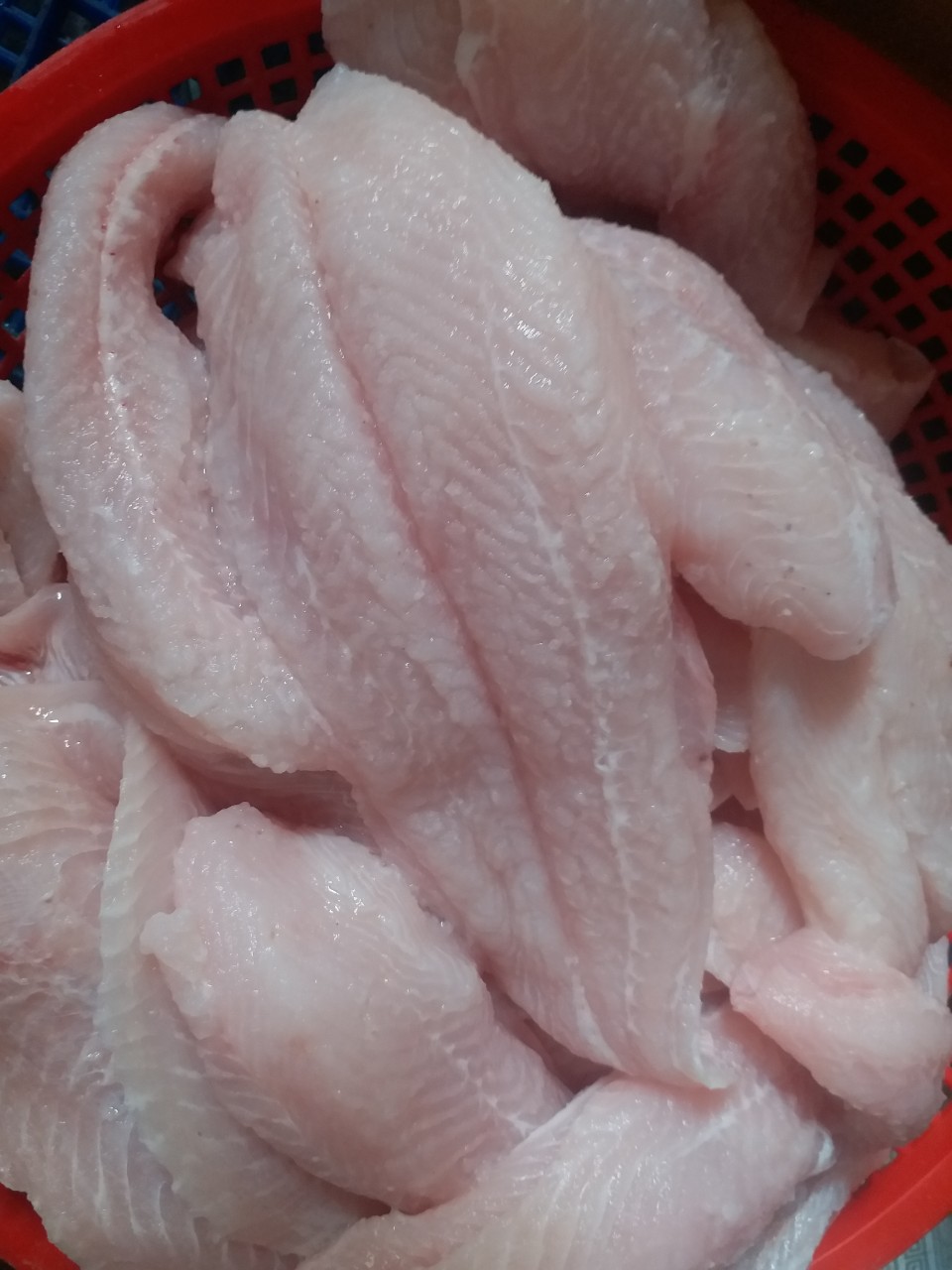 Nhà cung cấp cá basa cho Nhật Bản