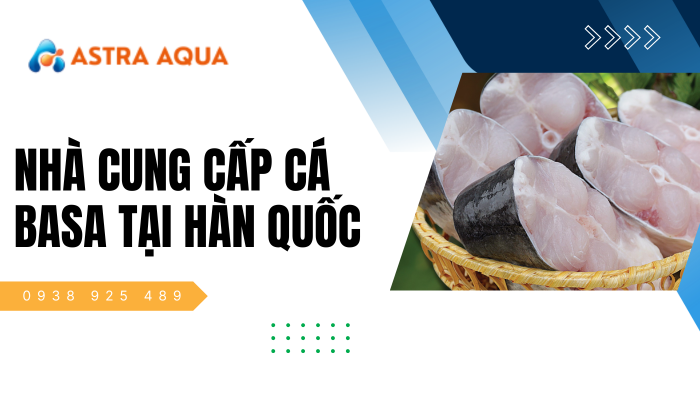 Nhà cung cấp cá basa tại Hàn Quốc chất lượng từ Astra Aqua