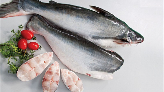 Dịch vụ logistics từ nhà cung cấp cá basa tại Hàn Quốc