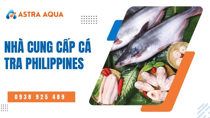 Philippines Pangasius Supplier specializing in supplying standard pangasius fillets