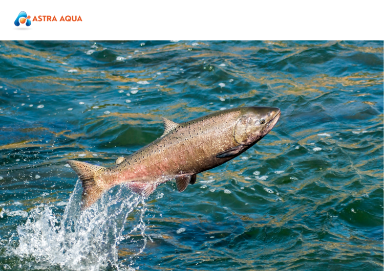 Phát Triển Bền Vững và Trách Nhiệm Xã Hội tại Astra Aqua