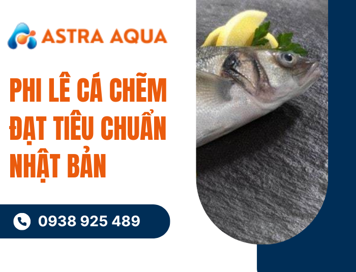 Phi lê cá chẽm đạt tiêu chuẩn Nhật Bản