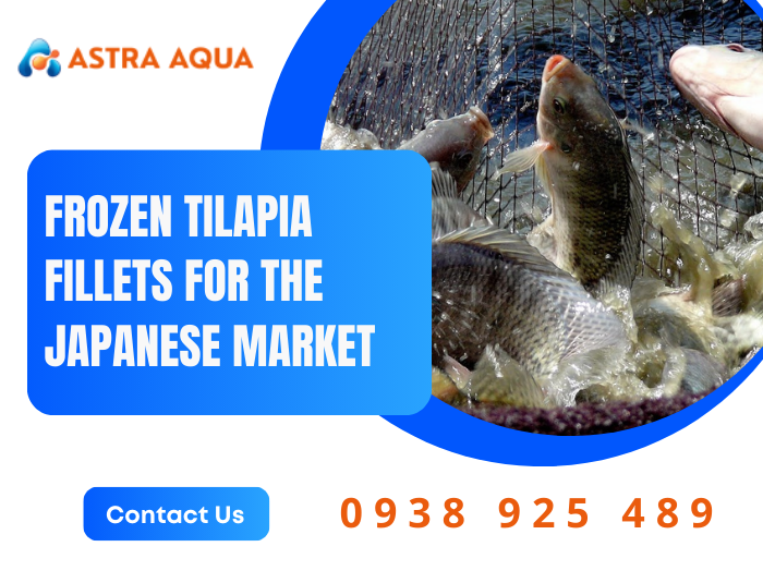 Frozen Tilapia Fillets for the Japanese Market